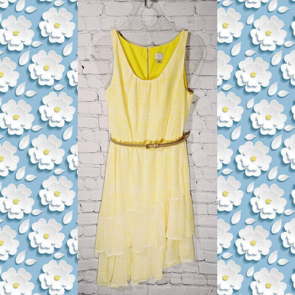 A New Day Gingham Sleeveless Asymmetrical Dress